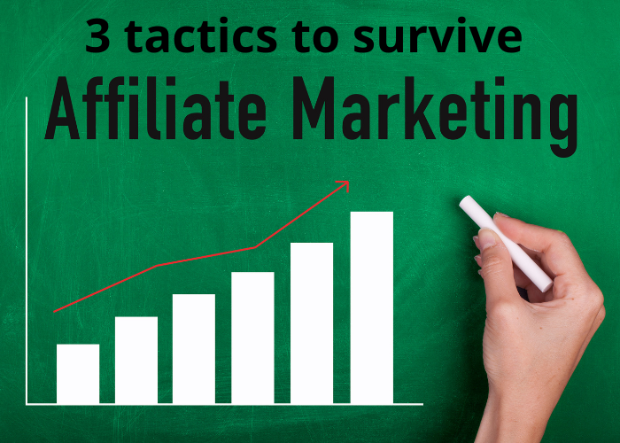 Things All Affiliate Marketers Need To Survive Online